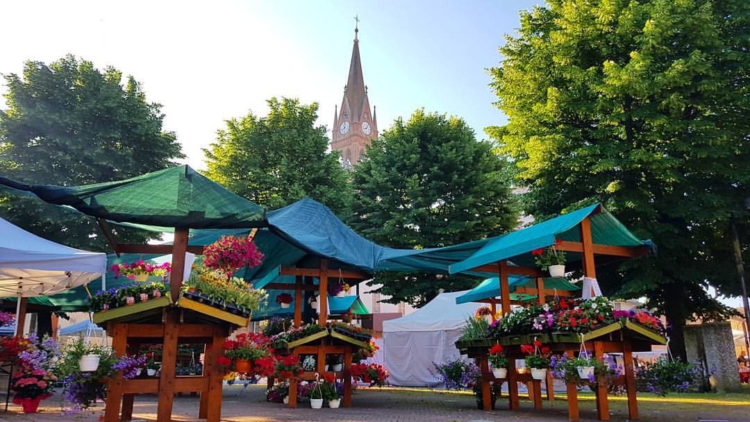 Fiera dei Fiori
