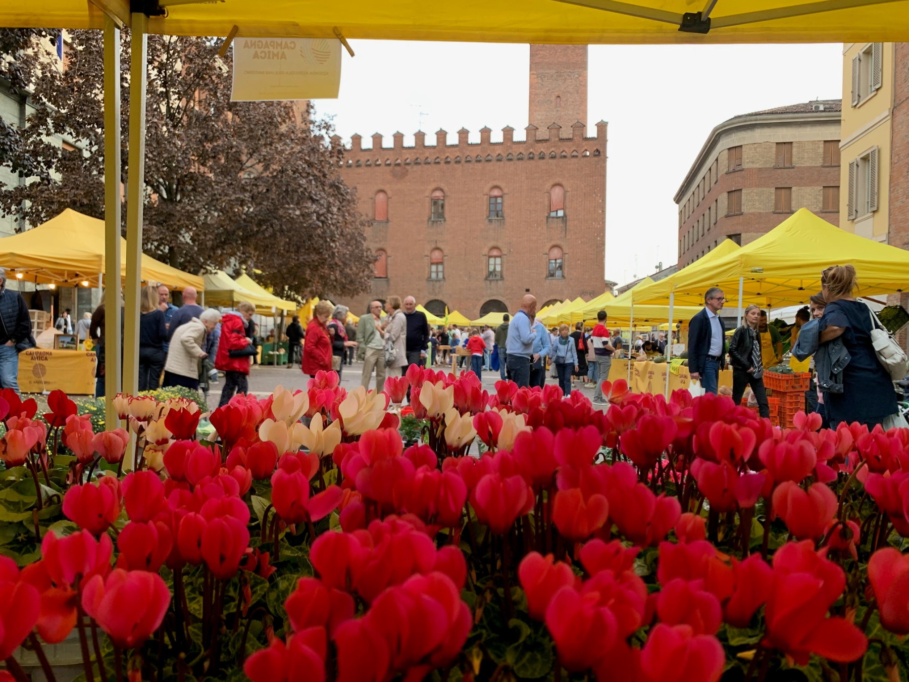 Mercato Campagna Amica